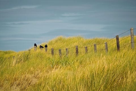 Sample project image